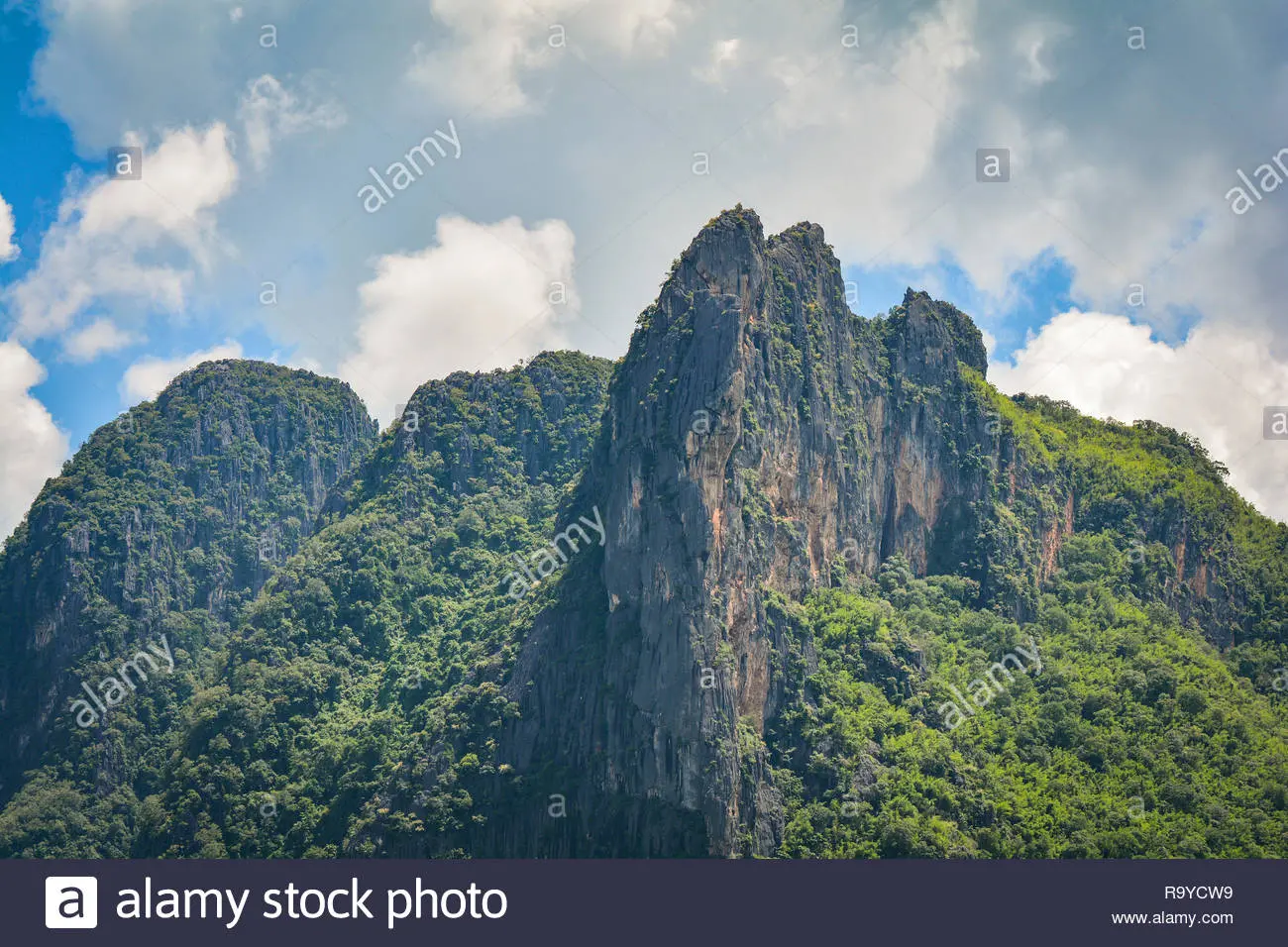 1602522106044.webp