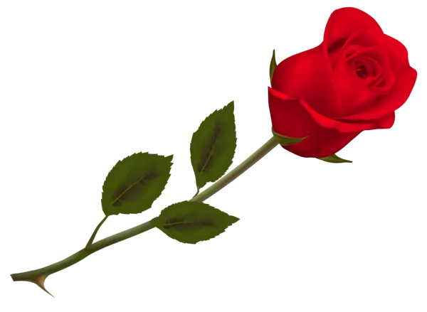 1612743430552.webp