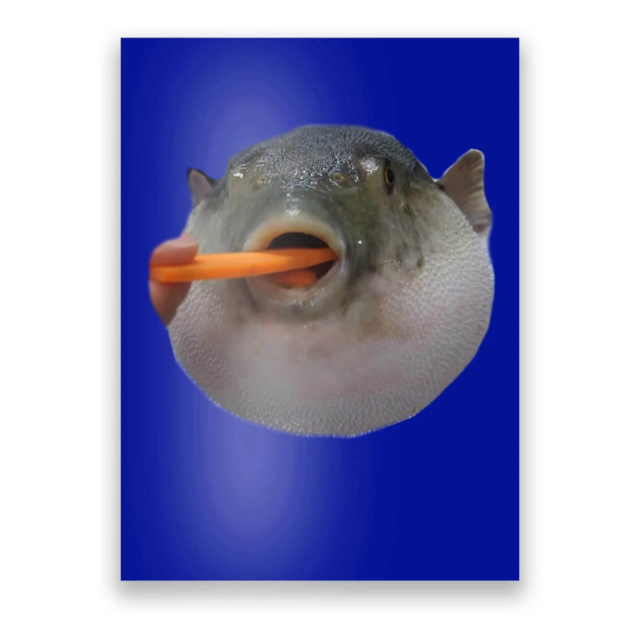1690346128905.webp