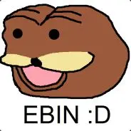 1703697185332.webp
