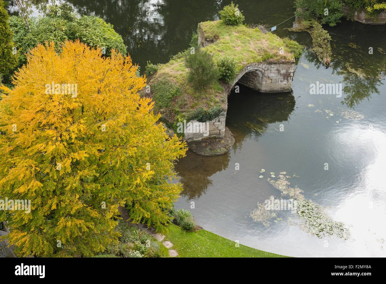 1760218462029.webp