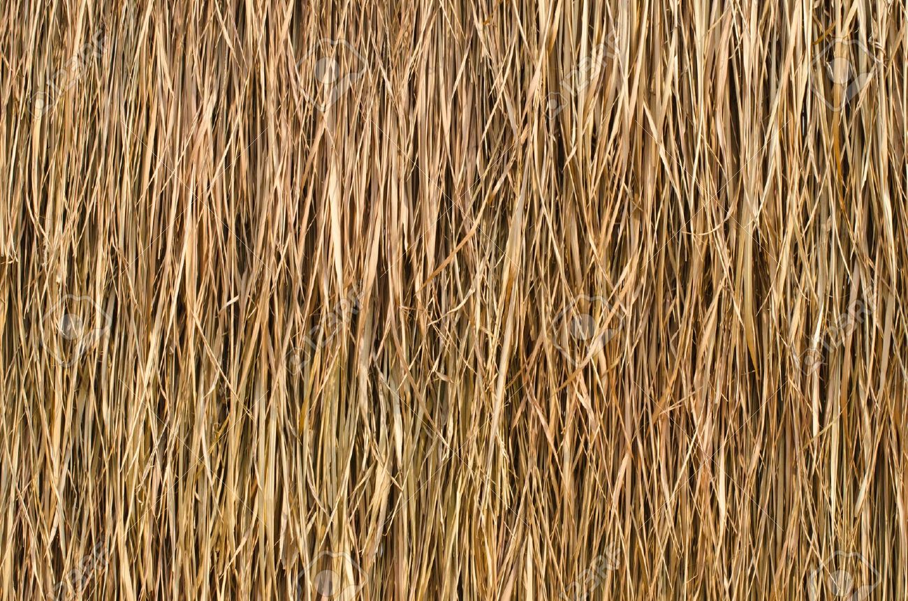 18048160-Thatched-roof-of-a-cottage-in-the-country--Stock-Photo-roof-straw-thatch.jpg