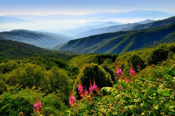 casentinovalley.webp
