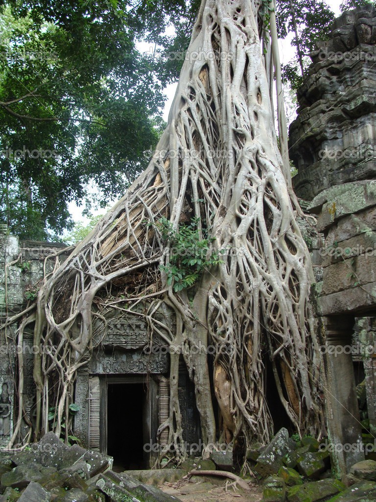 depositphotos_9631954-Angkor-wat-tree.jpg