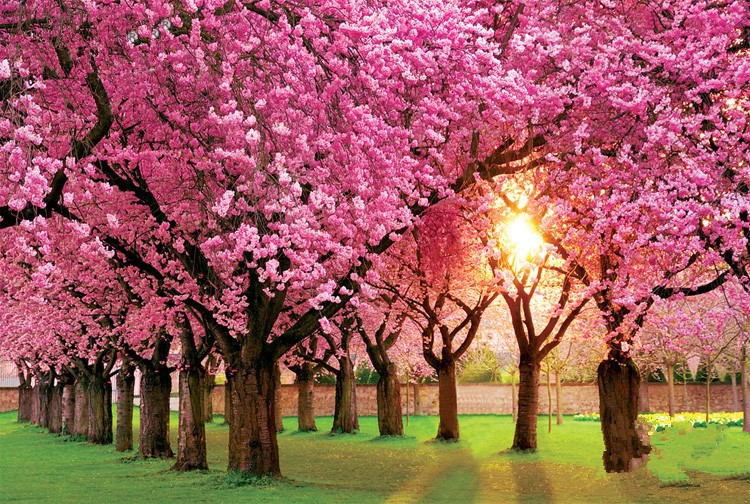 DIY-3D-Puzzle-Painting-Pink-Trees-1000-Pieces-Wooden-Toys-for-Children-and-Adult-Free-Shipping.jpg