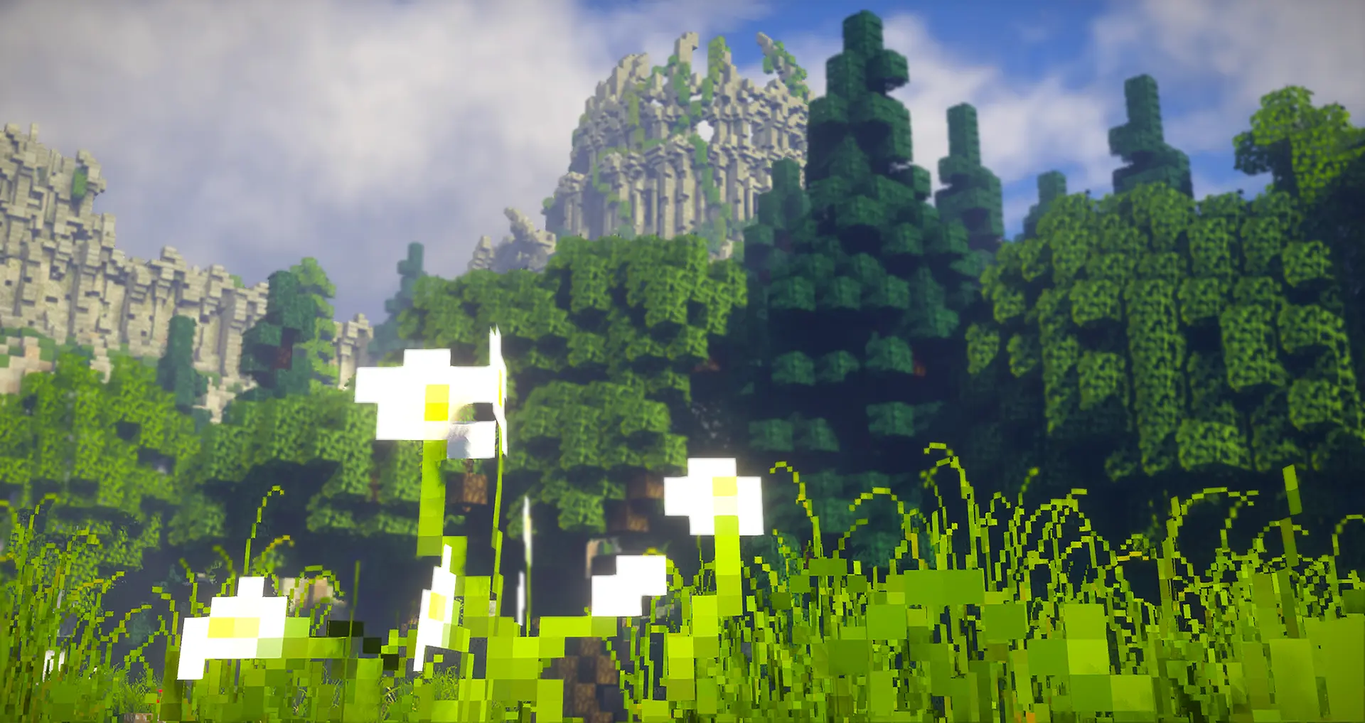 DoF8.webp