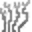 fern.webp