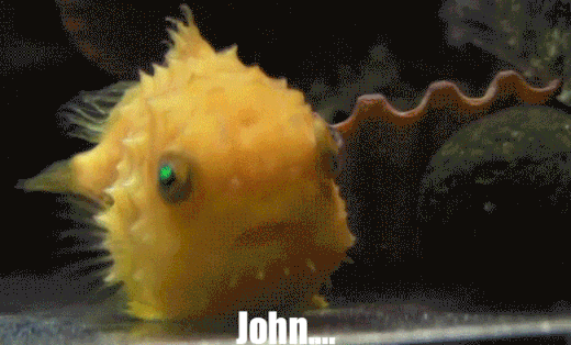 giphy-downsized-large.gif