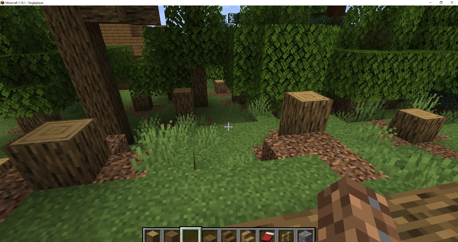Minecraft 1.16.1 12_07_2020 13_20_03.png