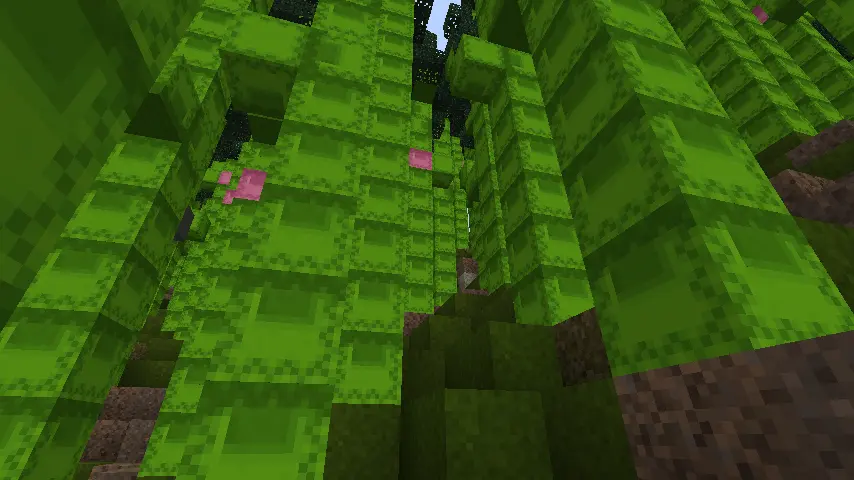 Shulker Forest.png