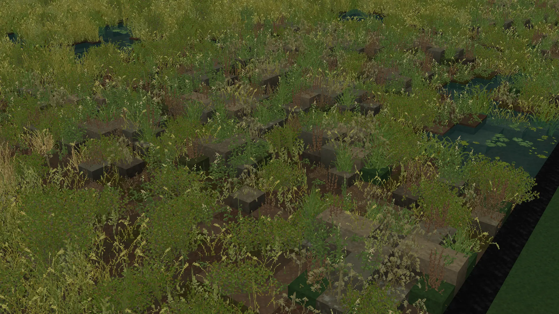 Small mouds.webp