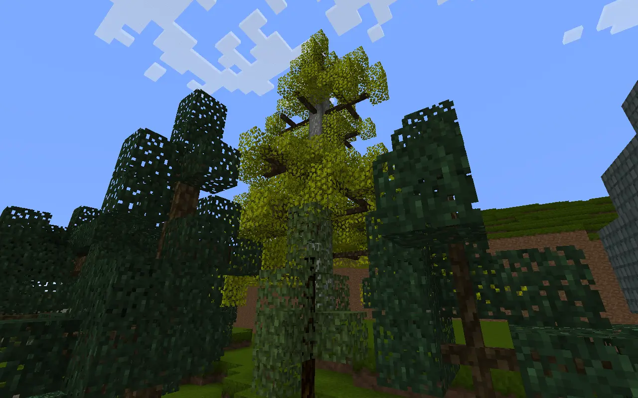 trees.webp