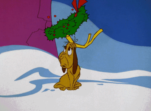 tumblr_ng59hnMBPx1rgoso8o1_500.gif