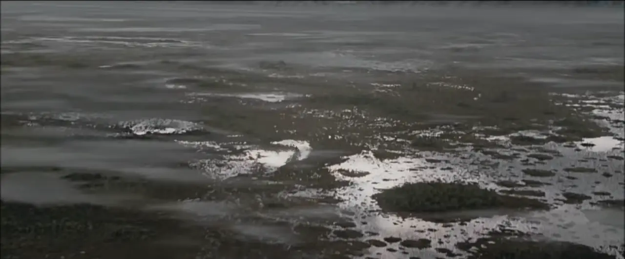 unknown (2).webp