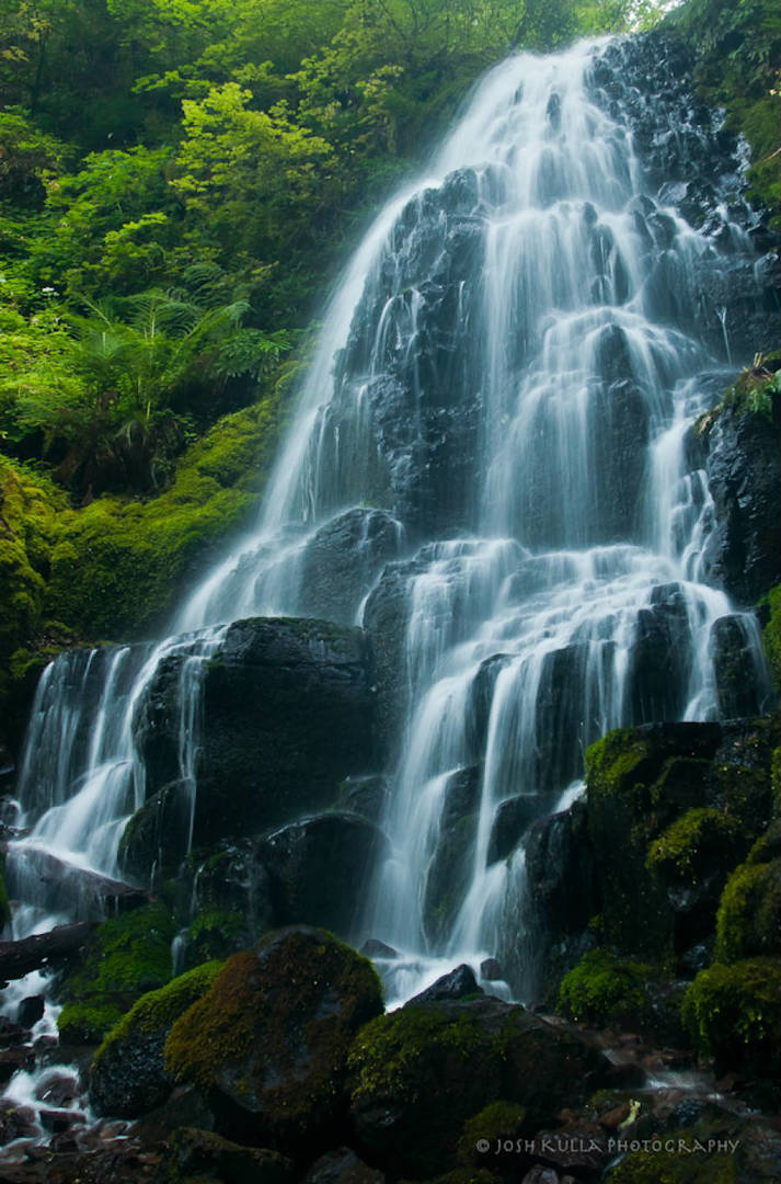 Waterfalls-3-Fairy-Waterfalls-Oregon-2.jpg