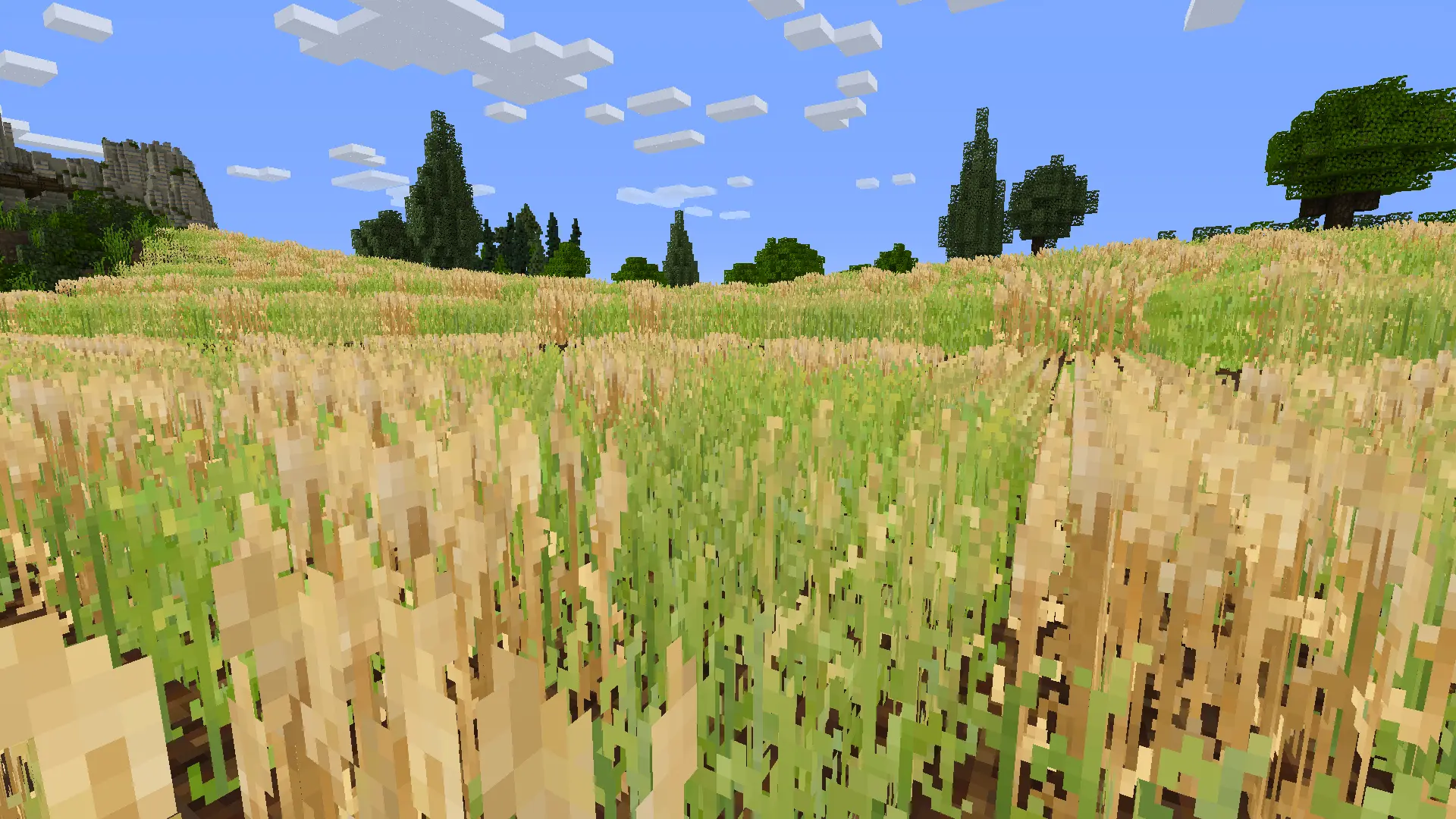 Wheatfields by Dol Amroth.webp