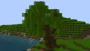 Goodtree101.webp