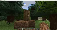 Minecraft 1.16.1 12_07_2020 13_20_12.webp