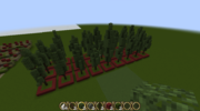 Trees 3.png