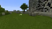 2022-04-02_08.38.04.webp