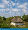 ethnic-medieval-rural-house-green-forest-glade-ethnic-medieval-rural-house-green-forest-glade...webp