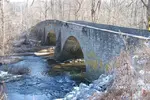 1742069464502.webp