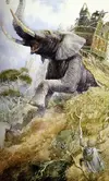 1758996215771.webp