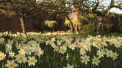 flowers.webp