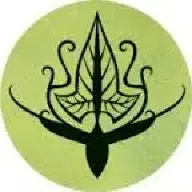 Dorvhan