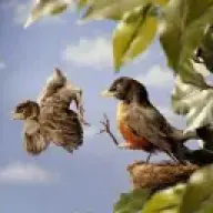 Guineapigsfly