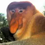 pumbelgrump
