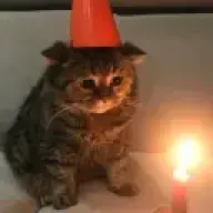 Splintertoad