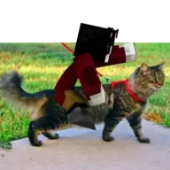 LittleMeowy