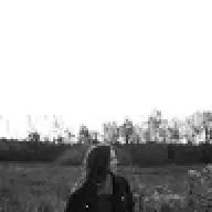 Rowie11