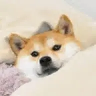 Sporry