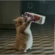 FransSteakPie