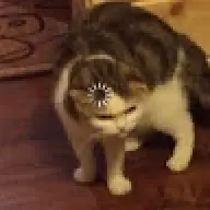 KingWilson