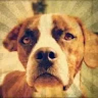 maddogg13666