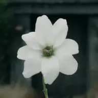 Evermind_3