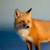 Firefoxplays