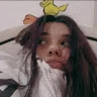 meryomeister