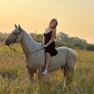 Gabbyhorse25