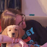 Bonnibel900