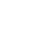 Felsnipe