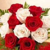 smelltheroses192