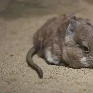 monkeymate02