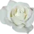 LivingDeadCat