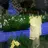 ImAHobbit1313