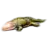 Parakotoul
