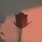 river_jort
